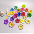 Popular Classic Frangipani Flower Hair Pick